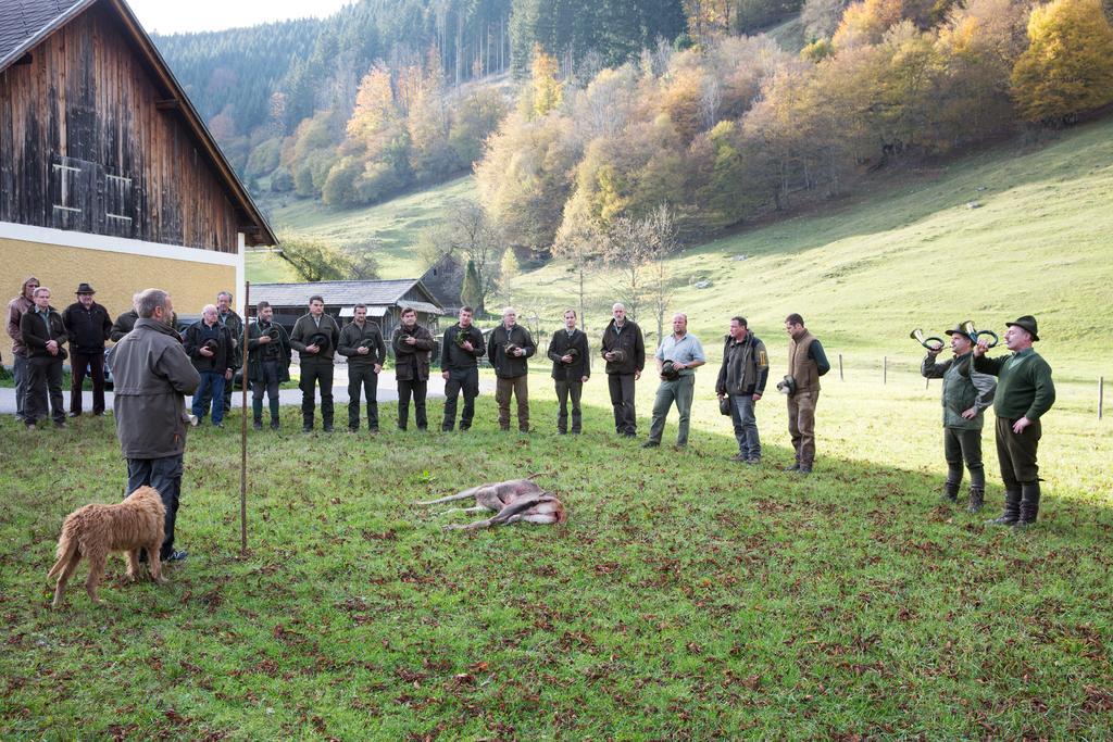 Hirschloser Steyrling Exterior foto